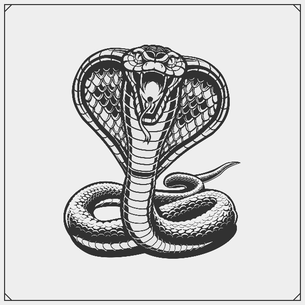Cobras – characteristics and useful information