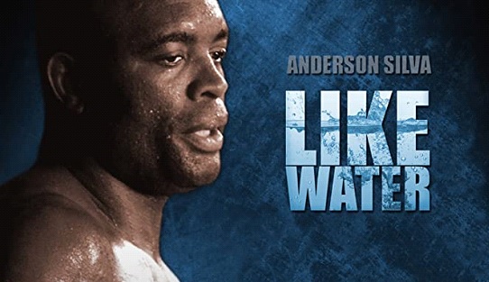 This is the billboard photo for Anderson Silvia's Like Water documentary.