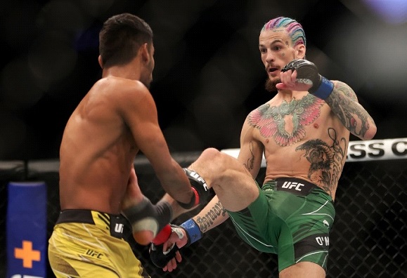 Sean O'Malley delivers a front kick while fighting during a UFC match.