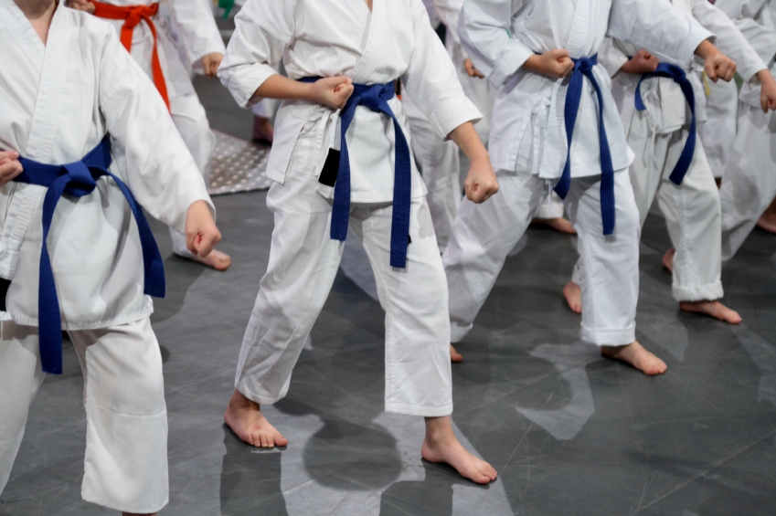 Karate belt deals